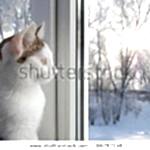 окна зимой